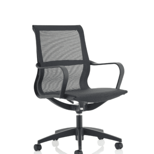 Lula Medium Mesh Back Executive Office Chair with Arms