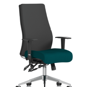 Onyx High Back Ergonomic Posture Chair with Height Adjustable Arms - Image 53