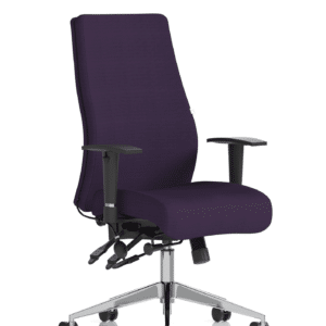 Onyx High Back Ergonomic Posture Chair with Height Adjustable Arms - Image 38