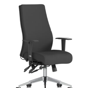 Onyx High Back Ergonomic Posture Chair with Height Adjustable Arms - Image 9