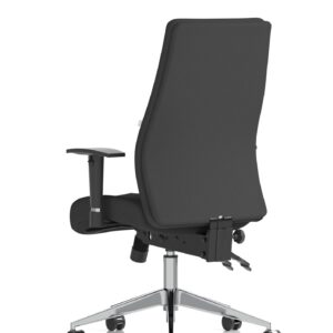 Onyx High Back Ergonomic Posture Chair with Height Adjustable Arms - Image 13