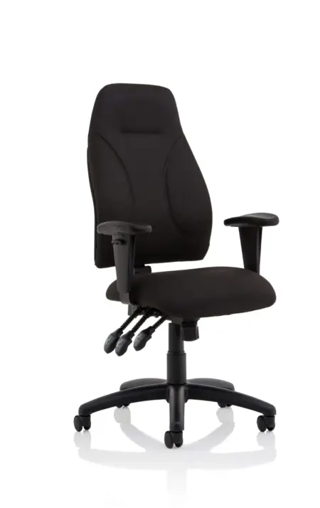 OE - Esme Posture Chair With Height Adjustable Arms Black Fabric
